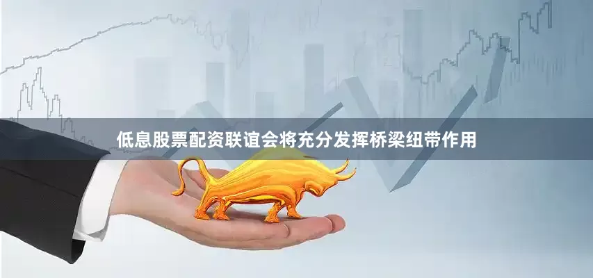 低息股票配资联谊会将充分发挥桥梁纽带作用