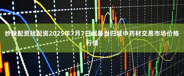 炒股配资找配资2025年7月7日岷县当归城中药材交易市场价格行情