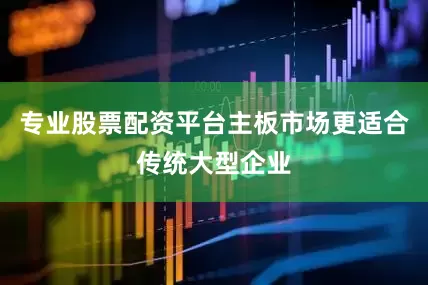 专业股票配资平台主板市场更适合传统大型企业