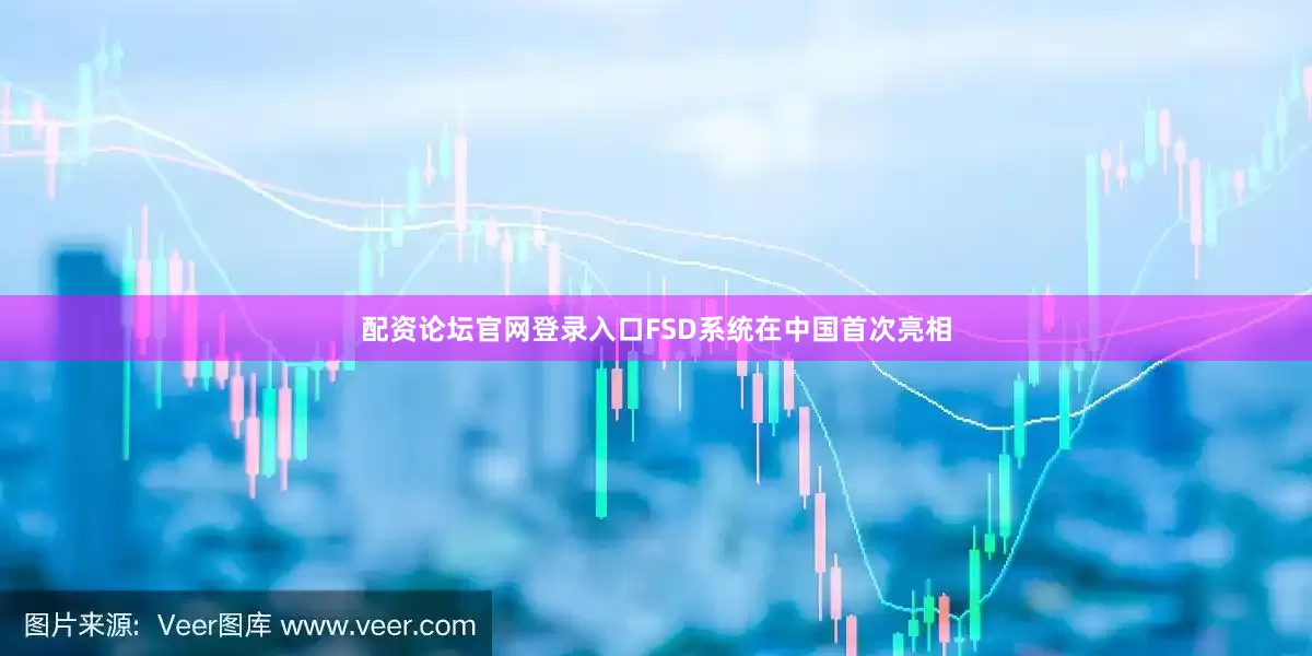 配资论坛官网登录入口FSD系统在中国首次亮相