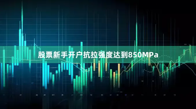 股票新手开户抗拉强度达到850MPa